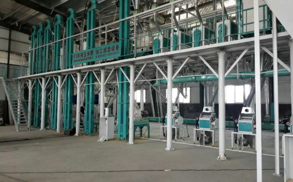 山東德州玉米脫皮機成套設備安裝調試完工